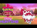🔴Live Shiny Hunting Encounters For Zigzagoon In Pokémon Shield🛡️#shorts