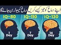 How to Increase Your Brain Power urdu | IQ Level Increase kaisay kurain Brain Exercises Memory