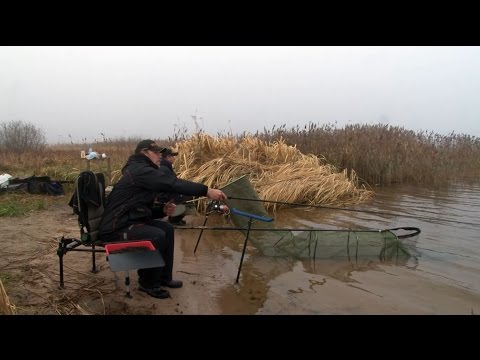 ловля леща осенью на реке фидером видео ловля леща осенью на реке фидером видео