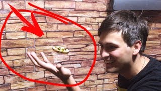 Квадрокоптер с камерой сделать своими руками Квадрокоптер с камерой сделать своими руками