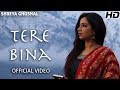 Tere Bina (Single) Official Video Shreya Ghoshal Deepak Pandit