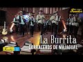 La Burrita - Los Corraleros de Majagual / Discos Fuentes