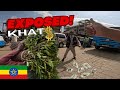 you WONT BELIEVE  the price of KHAT in HARAR DIRE DAWA ETHIOPIA Travel Vlog EP 2