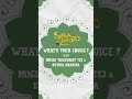 What's Your Choice? ft. Vaisshnav Tej & Ketika Sharma | Ranga Ranga Vaibhavanga | DSP | Gireeshaaya