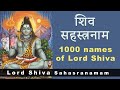 Shiva Sahasranama | श्री शिव सहस्रनाम |1000 Names of Shiva | with lyrics