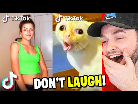 The ULTIMATE TikTok Try Not To LAUGH Challenge 99 FAIL 