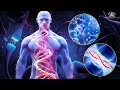 432Hz - Super Recovery & Healing Frequency, Whole Body Regeneration, Relieve Stress