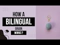How a BILINGUAL brain works ? 🧠