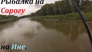 все о рыбалке на реке иня все о рыбалке на реке иня