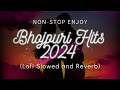 Nonstop Enjoy Bhojpuri Vibes Songs | Pawan Singh, Khesari Lal | Slowed and Reverb | Lofi Music
