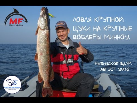 ловля щуки на воблер минноу видео ловля щуки на воблер минноу видео