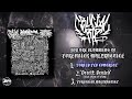 CRUCIAL RIP/STATE OF FILTH/BASHED IN - FORENSIC MALPRACTICE [OFFICIAL STREAM] (2024) SW EXCLUSIVE