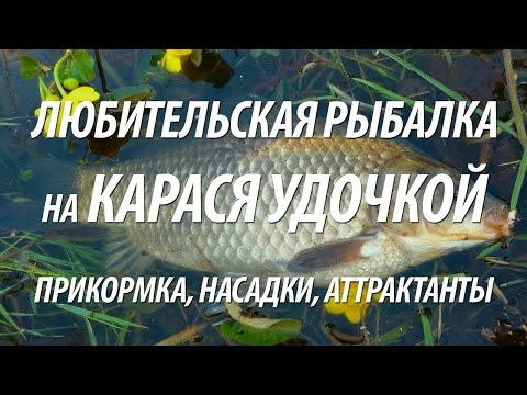 аттрактант для камбалы аттрактант для камбалы