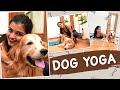 Dog Yoga | Yoga Challenge | Ashna Zaveri