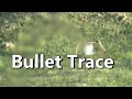 Bullet Trace, some info and more