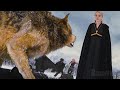 Vampires & Werewolves confronts the Volturi (Full Fight) | The Twilight Saga: Breaking Dawn - Part 2