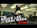 "The Bruce Lee of Krav Maga" Roy Elghanayan's LIVE DEMO!