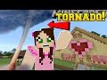 Minecraft: TORNADOES!! (TORNADOES, EARTHQUAKES, & BLIZZARDS!) Custom Command