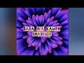 SHA BIGGY-BABA WA KAMBO (official music audio)