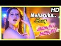 Lailaa O Lailaa Movie Scenes | Meharuba Song | Mohanlal meets Kainaat Arora | Amala