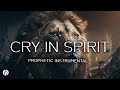 CRY IN SPIRIT/ PROPHETIC WORSHIP INSTRUMENTAL / THEOPHILUS SUNDAY/ MEDITATION MUSIC