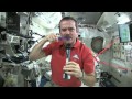 Download Chris Hadfield Brushes his Teeth in Space mp4 3gp mp3 videos - waplic
