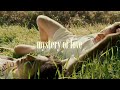 Mystery of Love (instrumental) • 1 hour loop (reverb + wind + birds)