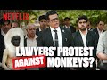 Ravi Kishan & The Lawyers Go On STRIKE Against Monkeys 😱 in Maamla Legal Hai!