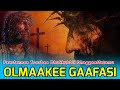 OLMAAKEE GAAFASII|Faarfannaa Toorbee Dhukkubbii #sambe_tube