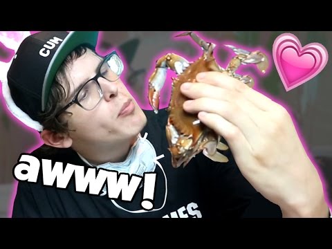 Crab Love Bad Unboxing Fan Mail