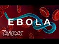 What Ebola Does to the Body