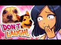 TRY NOT TO LAUGH CHALLENGE #4 - Aphmau's Dog Problems
