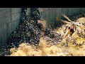 Лучшие сцены из «Войны миров Z» | отрывок 🌀 4K