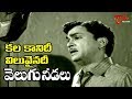 Telugu Old Songs | Velugu Needalu Songs | kalakaanidi Viluvainadi | ANR | Savitri - Old Telugu Songs