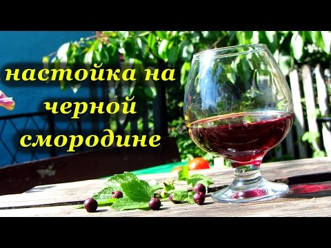 Как сделать настойку из спирта и смородин Как сделать настойку из спирта и смородин