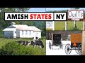 The Amish in New York (50+ Communities)