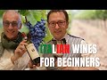 Italian wines for beginners -  A beginner guide to Italian wines