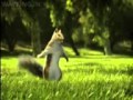 Download Nestle kit kat india squirrel break banta hai wapking in