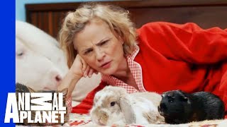 Amy Sedaris, Andrew W.K., Lil BUB Make Magical Outtakes Lil BUBs Special Special Amy Sedaris, Andrew W.K., Lil BUB Make Magical Outtakes Lil BUBs Special Special