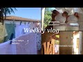 WEEKLY VLOG| EXCLUSIVE BREASTFEEDING/ BREAST PUMPING?| LAUNDRY DAY| DENTIST 🦷