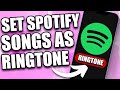 How to Set Spotify Songs as Ringtones (2024)