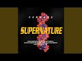 Supernature (Original Cerrone 12" Mix)