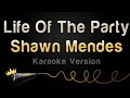 Shawn Mendes - Life Of The Party (Karaoke Version)