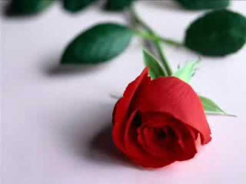 Download I LOVE YOU - SOPHIE free