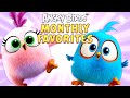 Angry Birds | Monthly Favorites 💖🌹