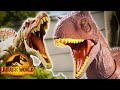 Jurassic World Dominion | Camp Cretaceous | Every Episode @MattelAction