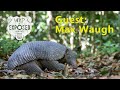 Pangolin to the Pantanal, make your own Luck with Max Waugh