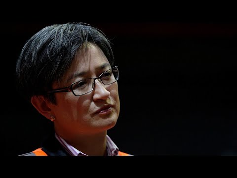 Penny Wong is ‘damaging’ Australia’s position on China for ‘domestic partisan purposes’