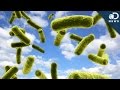 Are Clouds Full Of Bacteria?
