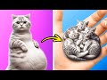 I Saved Stray Pregnant Cat 😢 Useful Hacks for Pet Owners